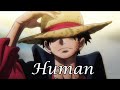 One Piece AMV Human / Roof Piece