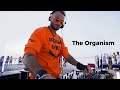The Organism - Live @ WAVE / Pink Lake, Spot Guide Home Spot, Ukraine / Melodic Techno Mix