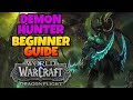 Demon Hunter Beginner Guide | Overview & Builds for ALL Specs (WoW Dragonflight)