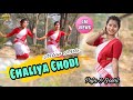 Chaliya Chodi // Nilav Nita // Cover video Puja & Gouri