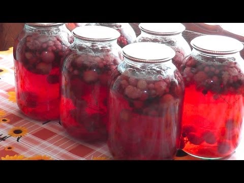 Как сделать концентрат из ягод на зиму Как сделать концентрат из ягод на зиму