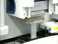 DOE JGI Whole Genome Shotgun Sequencing, part 2