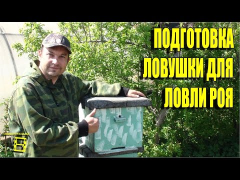 ловим пчел ловушками ловим пчел ловушками