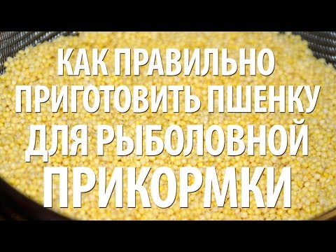 рыбалка пшено на пружину рыбалка пшено на пружину