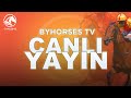 BYHORSES TV