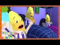 NIGHTMARE Bananas | Cartoons for Kids | Bananas In Pyjamas