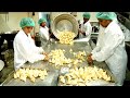 Samosa Processing Factory in india ||  Panjabi Samosa Factory Production line