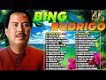 BING RODRIGO Opm Love Songs - Gintong Araw, Sinayang Mo, Bakit May Pag-ibig Pa,...#viral