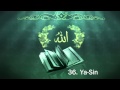 Surah 36. Ya-Sin - Sheikh Maher Al Muaiqly