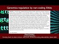 BtBs Seminar by Piero Carninci, Human Technopole - Genomics regulation by non-coding RNAs
