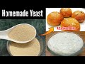 Homemade Yeast Recipe for Pav Buns ,Pizza. How to make Yeast at home. Atta sweet buns Recipe