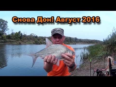 дни для рыбалки в августе дни для рыбалки в августе