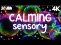 4k- Sensory Videos for Autism Soothing Visuals for Stress Relief
