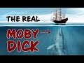 The Terrifying Story of the Real Moby Dick