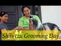How I groom my Shih-tzu