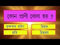 Bangla Gk Question and Answer | Sadharon Gyan | Bengali GK | Animal GK | EP-19 | General Knowledge