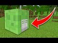 How to Live Inside a Slime in Minecraft Tutorial (Pocket Edition, PS4/3, Xbox, Switch, PC)