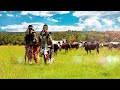Inkabi Zezwe ft Sjava & Big Zulu - Khaya Lami [Visualizer]