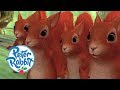 Peter Rabbit - Unlikely Allies | Cartoons for Kids
