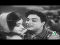 Thaikku Thalaimagan Full Movie Video Songs | MGR | Jayalalitha