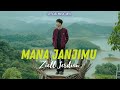 Ziell Ferdian - Mana Janjimu (Official Music Video)