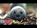 CGI 3D Animated Short: "Pebble" - by Marco Pavanello | TheCGBros