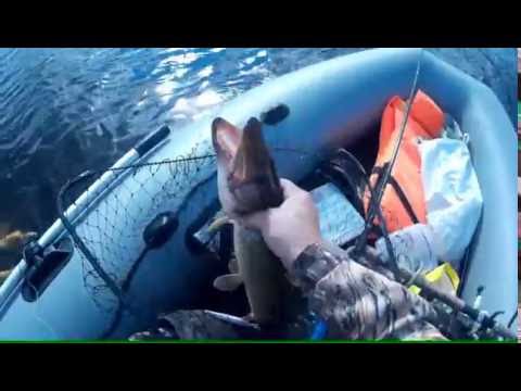 ловить троллингом видео ловить троллингом видео