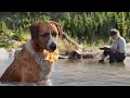 كلب بيلاقي دهب كتيير في البحيرة بالصدفة ، وبيخلي صاحبه ملياردير ! ملخص فيلم The Call Of Wild