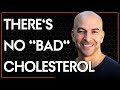 Intro to Lipids & Lipoproteins: Why there is no ‘bad’ or ‘good’ cholesterol | Peter Attia, M.D.