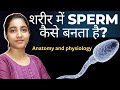 Sperm formation|Anatomy and physiology|Alka Thakur|