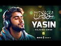 Relaxing Surah Yasin (Yaseen) سورة يس | Unwind with beautiful recitation | Zikrullah TV
