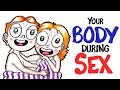 Your Body During Sex