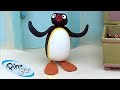 Pingu Solves Problems 🐧 | Pingu - Official Channel | Cartoons For Kids