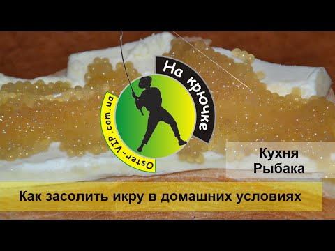 Засолка икры щуки в домашних условиях Засолка икры щуки в домашних условиях