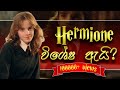 Hermione Granger ගේ ජීවිත කතාව | Life of Hermione Granger | Harry Potter Sinhala Explaining
