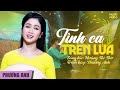 Tình Ca Trên Lúa - Phương Anh | Official 4K MV
