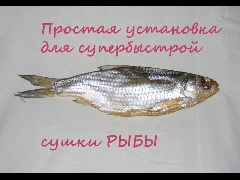 Как сделать сушилку для рыбы видео