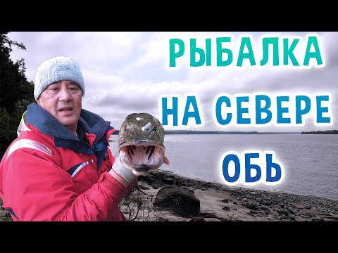 рыбалка на оби август 2015г рыбалка на оби август 2015г