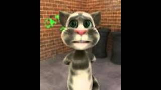 Funny speaking cat