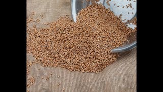 Крупа как удобрение Крупа как удобрение