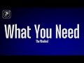 The Weeknd - What You Need (Lyrics)