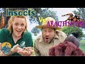 Insects And Arachnids for Kids | Educational Videos for Kids