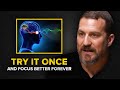 Neuroscientist: How To Boost Your Focus PERMANENTLY in Minutes