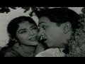 Zamindar Movie Songs | Palakarinchitene | ANR | Krishna Kumari