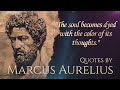 Stoic Wisdom | Quotes from Marcus Aurelius to Navigate Life's Challenges