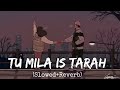 Tu Mila Jis Tarah Saba Mile [Slowed + Reverb] - Shafaqat Ali || Raaz 3 || Lofi Vibes || Indian lofi