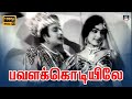 Pavalakodiyile  Video Song HD | பவளக்கொடியிலே Song | Panam Padaithavan | M.G.R |K.R.Vijay |TMS.
