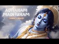 Adharam Madhuram (Slow + Reverb) |  Krishna Bhajan | Bhakti Song | Bhajan Song | Madhurashtakam Lofi