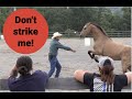 Difficult Horse:  A Real Life/Real Time Training Session (Episode 96) - Herm Gailey