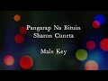Pangarap Na Bituin by Sharon Cuneta Male Key Karaoke